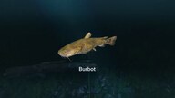 Ultimate Fishing Simulator - New Fish Species (PC) - Steam Key - GLOBAL