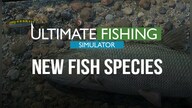 Ultimate Fishing Simulator - New Fish Species (PC) - Steam Key - GLOBAL