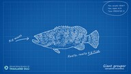 Ultimate Fishing Simulator - Thailand (PC) - Steam Key - GLOBAL