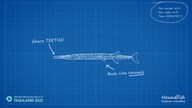 Ultimate Fishing Simulator - Thailand (PC) - Steam Key - GLOBAL