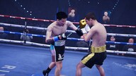 Undisputed - WBC Pack (Xbox Series X/S) - Xbox Live Key - EUROPE