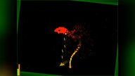 Void Invaders Steam Key GLOBAL
