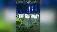 Vortex: The Gateway Steam Key RU/CIS