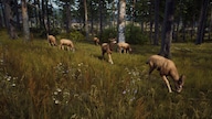Way of the Hunter (PC) - Steam Account - GLOBAL