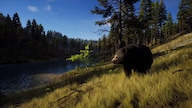 Way of the Hunter (PC) - Steam Account - GLOBAL