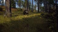 Way of the Hunter (PC) - Steam Account - GLOBAL