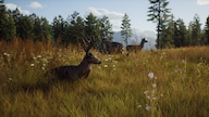 Way of the Hunter (PC) - Steam Account - GLOBAL