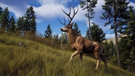 Way of the Hunter (PC) - Steam Account - GLOBAL
