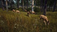 Way of the Hunter (PC) - Steam Gift - NORTH AMERICA