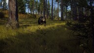 Way of the Hunter (PC) - Steam Gift - NORTH AMERICA