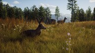 Way of the Hunter (PC) - Steam Gift - NORTH AMERICA