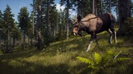 Way of the Hunter (PC) - Steam Gift - NORTH AMERICA