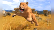 Wildlife Park 3 Steam Key GLOBAL