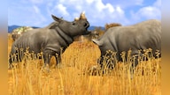 Wildlife Park 3 Steam Key GLOBAL