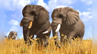 Wildlife Park 3 Steam Key GLOBAL