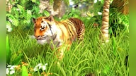 Wildlife Park 3 Steam Key GLOBAL
