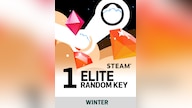 Winter Random 1 Key Elite - Steam Key - GLOBAL