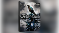 Winter Voices Episode 5: Overflow Steam Key GLOBAL