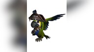 World of Warcraft - Cap'n Crackers - Pet Battle.net Key NORTH AMERICA