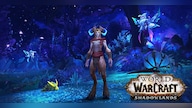 World of Warcraft: Shadowlands | Base Edition (PC) - Battle.net Key - AUSTRALIA/NEW ZEALAND