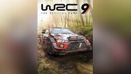WRC 9 FIA World Rally Championship (PC) - Epic Games Key - GLOBAL