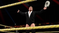 WWE 2K15 (PC) - Steam Key - GLOBAL