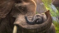 Zoo Tycoon (Xbox One) - Xbox Live Key - ARGENTINA