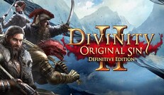 Divinity: Original Sin 2 | Definitive Edition (PC) - GOG.COM Key - GLOBAL