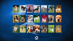 Puppy Dog: Jigsaw Puzzles Steam Key GLOBAL