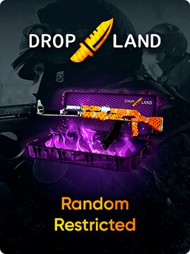 Counter-Strike: Global Offensive RANDOM RESTRICTED SKIN BY DROPLAND.NET - Key - GLOBAL