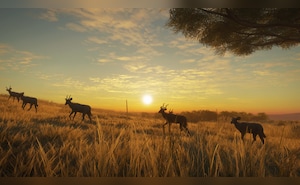 https://images.g2a.com/300x185/1x1x1/slug/5c138417ae653a1a097ae7a3