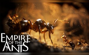 https://images.g2a.com/300x185/1x1x1/slug/8e437859b75a4a9aa0485738