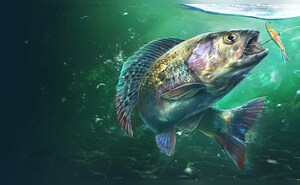 https://images.g2a.com/300x185/1x1x1/slug/ab402685a9194829b4a99e0a