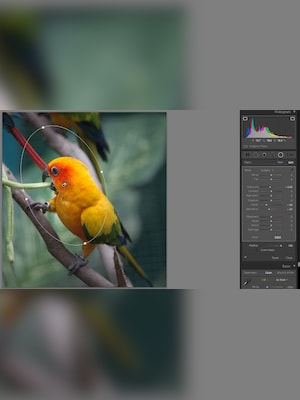 Adobe Lightroom 5.7 (PC) - Adobe Key - EUROPE - 3