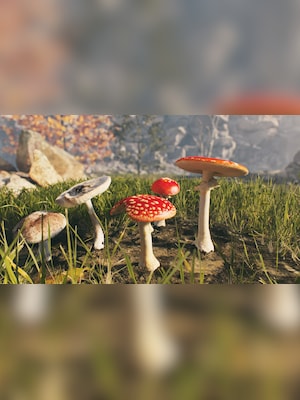 AppGameKit Studio - Steam Key - (GLOBAL) - 8