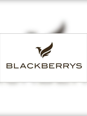 Blackberrys Gift Card 5000 INR - Blackberrys Key - INDIA - 2