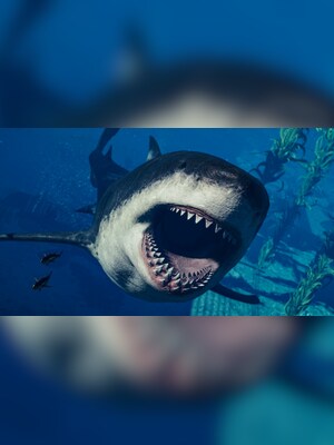 gallery-image-item-5