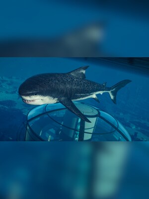 gallery-image-item-4