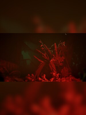 gallery-image-item-2