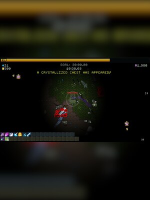 gallery-image-item-2