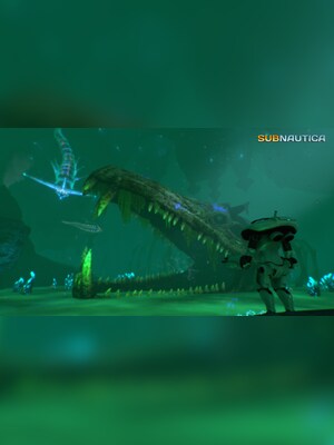 gallery-image-item-4