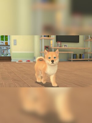 gallery-image-item-1