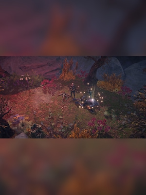 gallery-image-item-2