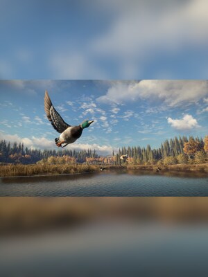 gallery-image-item-2