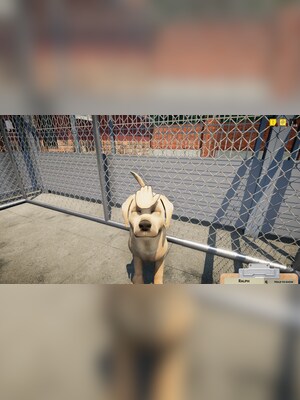 gallery-image-item-4