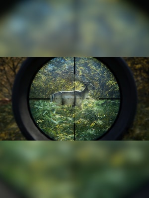 gallery-image-item-4