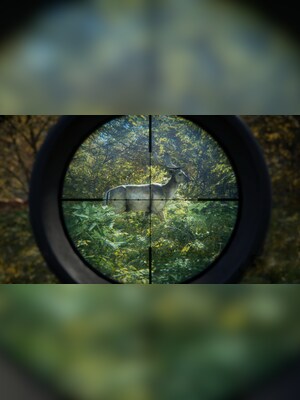 gallery-image-item-1