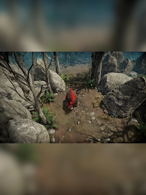 gallery-image-item-5