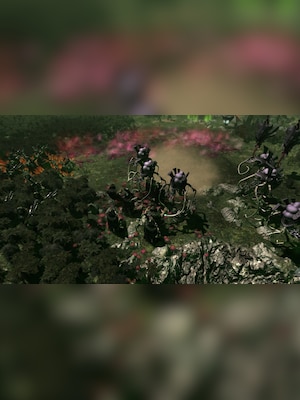 gallery-image-item-1