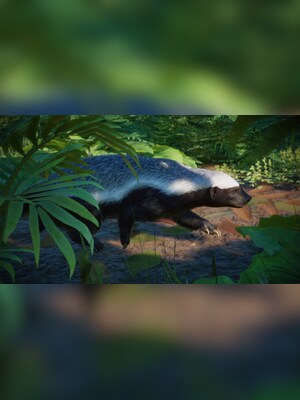 gallery-image-item-1